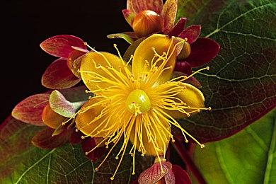 走外挂的路让外挂无路可走，迅游助力玩家《超级人类》吃鸡愉快